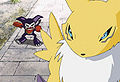 Digimon tamers - episode 10 06.jpg