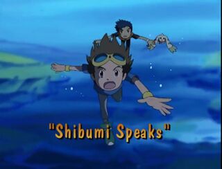 Shibumi Speaks)