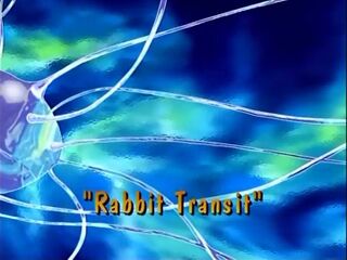 Rabbit Transit)