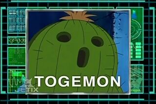 Digimon analyzer ds togemon en.jpg