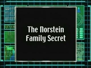 The Norstein Family Secret)