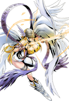 Angewomon collectors.png
