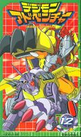 Digimon adventure VHSbox 12.jpg
